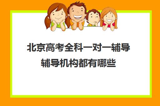 北京高考全科一对一辅导辅导机构都有哪些(北京高中补课机构排名)