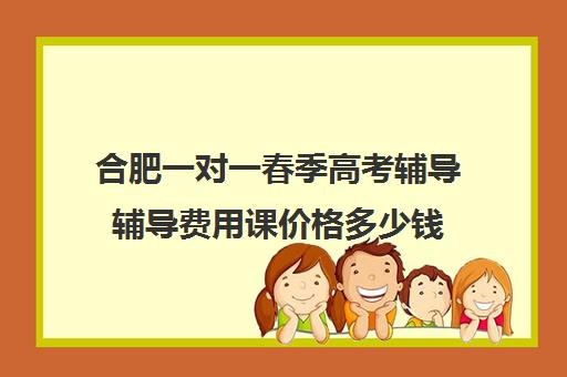 合肥一对一春季高考辅导辅导费用课价格多少钱(合肥小学一对一辅导一般价钱)