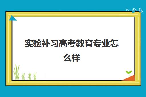 实验补习高考教育专业怎么样