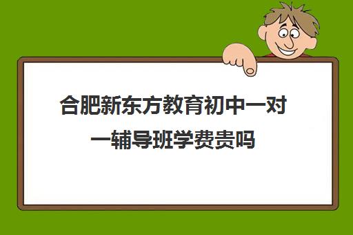 合肥新东方教育初中一对一辅导班学费贵吗（新东方初中一对一收费价格表）