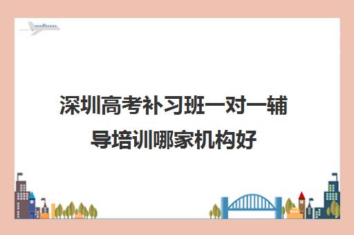 深圳高考补习班一对一辅导培训哪家机构好