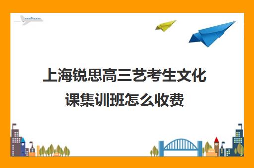 上海锐思高三艺考生文化课集训班怎么收费(上海三大艺考培训机构)