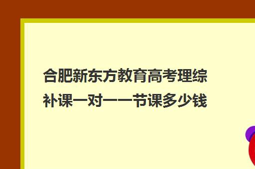 合肥新东方教育高考理综补课一对一一节课多少钱（新东方高三一对一收费价格表）