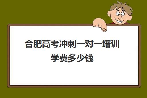 合肥高考冲刺一对一培训学费多少钱(合肥比较出名高中辅导班)