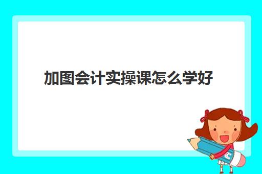 加图会计实操课怎么学好(新手会计如何快速上岗)