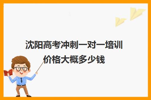 沈阳高考冲刺一对一培训价格大概多少钱(高考一对一教育咨询1小时多少钱)