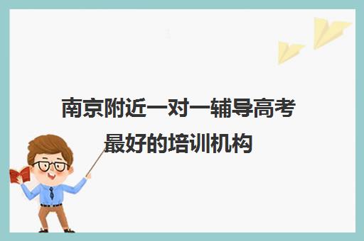 南京附近一对一辅导高考最好的培训机构(高考线上辅导机构有哪些比较好)