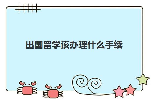 出国留学该办理什么手续(中介出国留学)