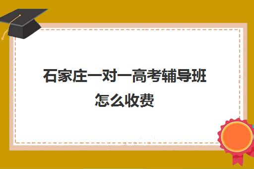 石家庄一对一高考辅导班怎么收费(石家庄小学一对一辅导价格)