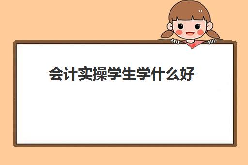 会计实操学生学什么好(一般的会计需要学什么)