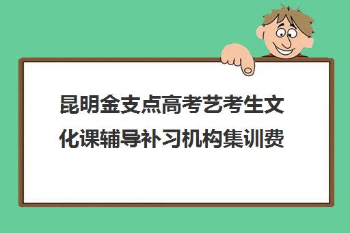 昆明金支点高考艺考生文化课辅导补习机构集训费用多少钱