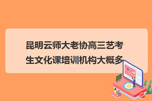 昆明云师大老协高三艺考生文化课培训机构大概多少钱(昆明艺考培训哪家最好)