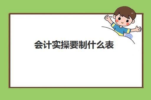 会计实操要制什么表(出纳可以制单吗)