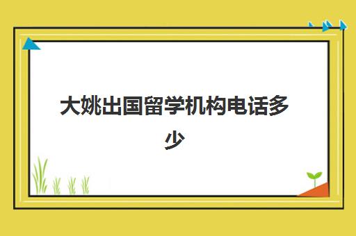 大姚出国留学机构电话多少(出国留学怎么联系学校)