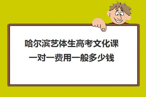 哈尔滨艺体生高考文化课一对一费用一般多少钱(哈尔滨艺考培训学校排名)