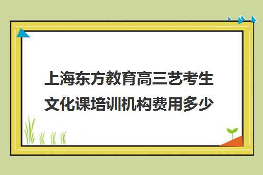 上海东方教育高三艺考生文化课培训机构费用多少钱(上海艺考机构哪个最好)