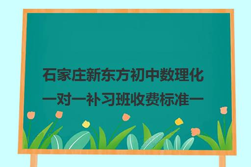 石家庄新东方初中数理化一对一补习班收费标准一览表