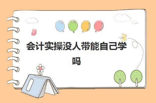 会计实操没人带能自己学吗(一个新手如何自学会计)