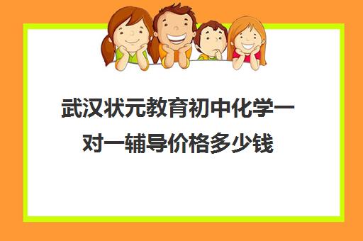 武汉状元教育初中化学一对一辅导价格多少钱（武汉高中一对一辅导机构哪家好）