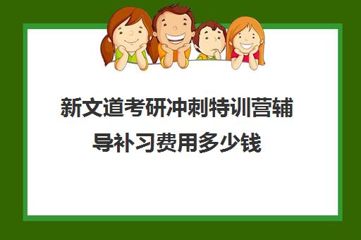 新文道考研冲刺特训营辅导补习费用多少钱