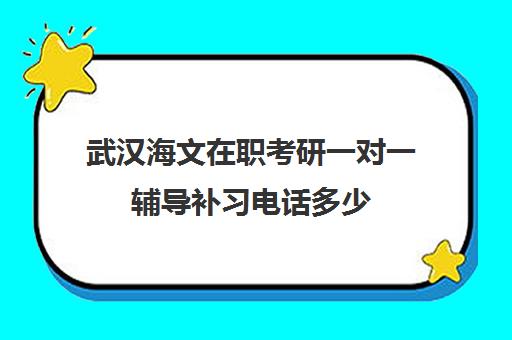 武汉海文在职考研一对一辅导补习电话多少