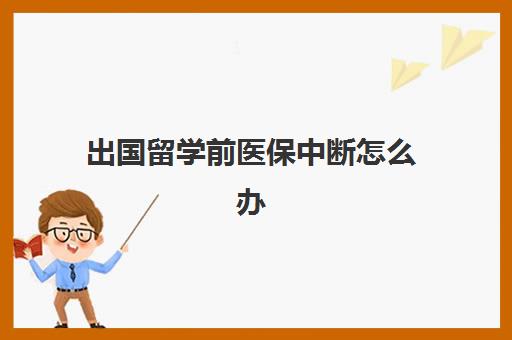 出国留学前医保中断怎么办(医保中断补缴有意义吗)