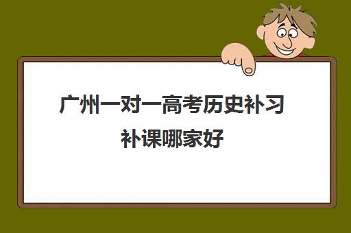 广州一对一高考历史补习补课哪家好