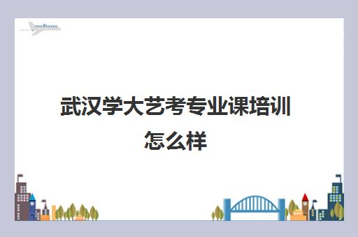 武汉学大艺考专业课培训怎么样(武汉最好的艺考培训)