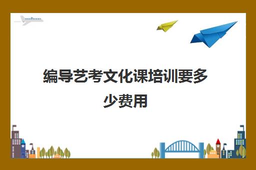 编导艺考文化课培训要多少费用(艺考编导专业都学什么)