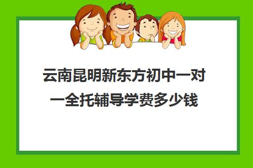 云南昆明新东方初中一对一全托辅导学费多少钱（昆明家教一对一上门补课多少钱）