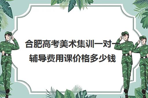 合肥高考美术集训一对一辅导费用课价格多少钱(合肥艺考生文化课培训机构排名)