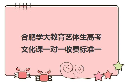 合肥学大教育艺体生高考文化课一对一收费标准一览表（合肥艺考生文化课培训机构排名）