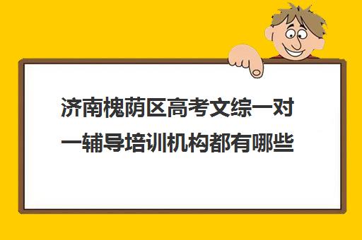 济南槐荫区高考文综一对一辅导培训机构都有哪些(济南艺考生文化课机构哪家好些)