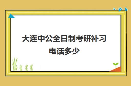 大连中公全日制考研补习电话多少