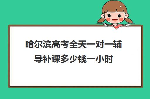 哈尔滨高考全天一对一辅导补课多少钱一小时(高一一对一补课收费)