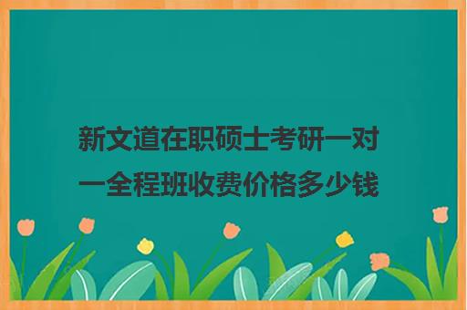 新文道在职硕士考研一对一全程班收费价格多少钱（新文道考研价格一览表）