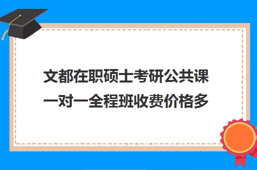 文都在职硕士考研公共课一对一全程班收费价格多少钱（文都考研辅导班价格表）