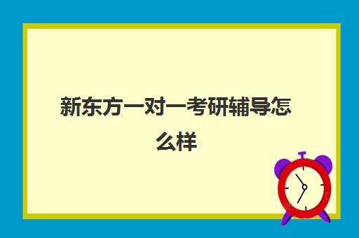 新东方一对一考研辅导怎么样(新东方初中一对一辅导价格)