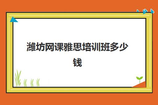 潍坊网课雅思培训班多少钱(雅思培训班一般价格)