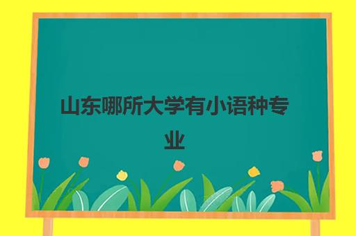 山东哪所大学有小语种专业(小语种专业大学排名及分数线)