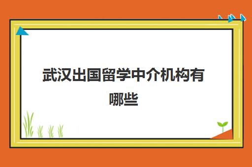 武汉出国留学中介机构有哪些(武汉留学中介排名机构前十)