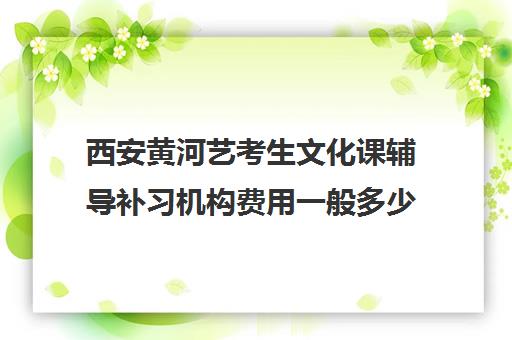 西安黄河艺考生文化课辅导补习机构费用一般多少钱