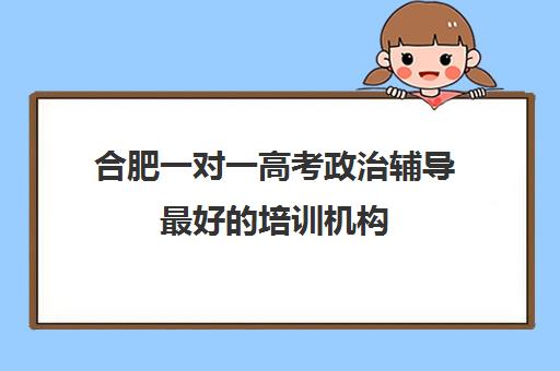 合肥一对一高考政治辅导最好的培训机构(高中一对一辅导机构排名)