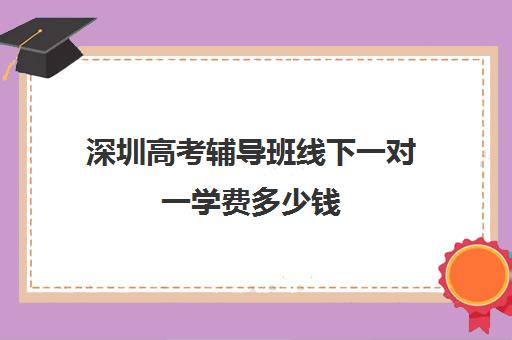 深圳高考辅导班线下一对一学费多少钱(小学辅导班)