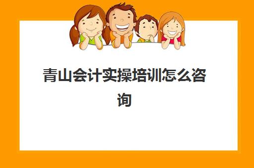 青山会计实操培训怎么咨询(会计实账培训有必要去吗)