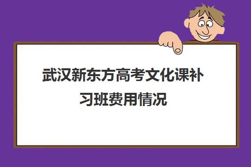 武汉新东方高考文化课补习班费用情况