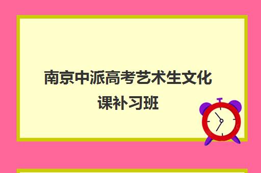 南京中派高考艺术生文化课补习班