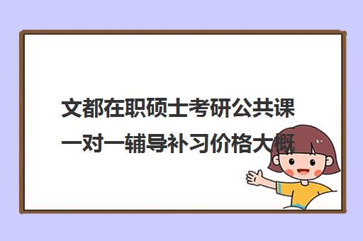 文都在职硕士考研公共课一对一辅导补习价格大概多少钱