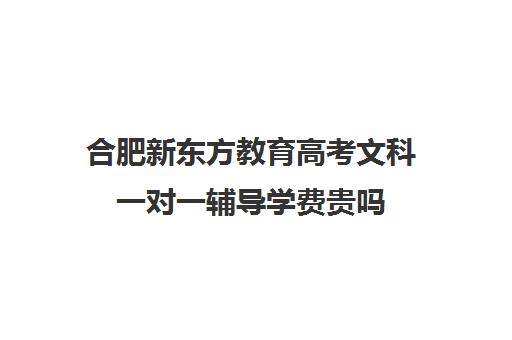 合肥新东方教育高考文科一对一辅导学费贵吗(新东方英语学费太贵了)