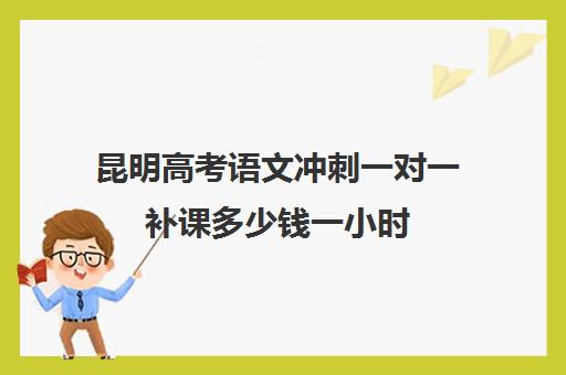 昆明高考语文冲刺一对一补课多少钱一小时(昆明高考补课机构排名)